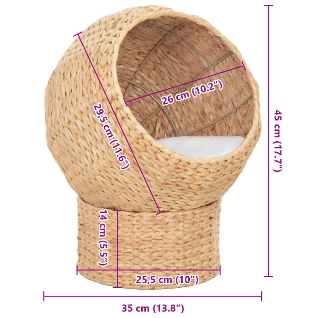 Tengerifű macskakosár - Image 5