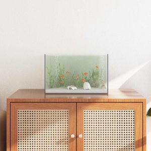 Akvárium tárolóval Átlátszó 40 x 25 x 25 cm Üveg