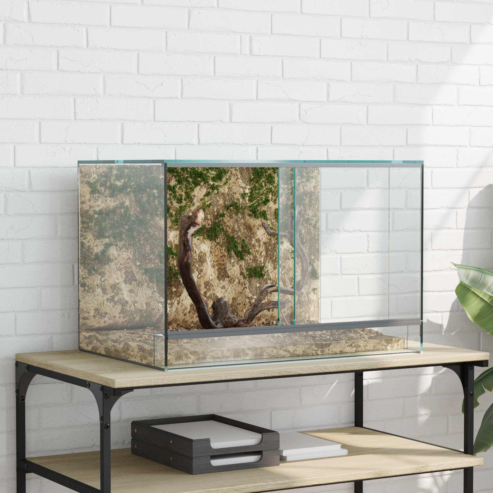 Terrárium tárolóval Átlátszó 60 x 40 x 40 cm Üveg